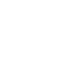 Favicon en blanc d'ASL Gestion